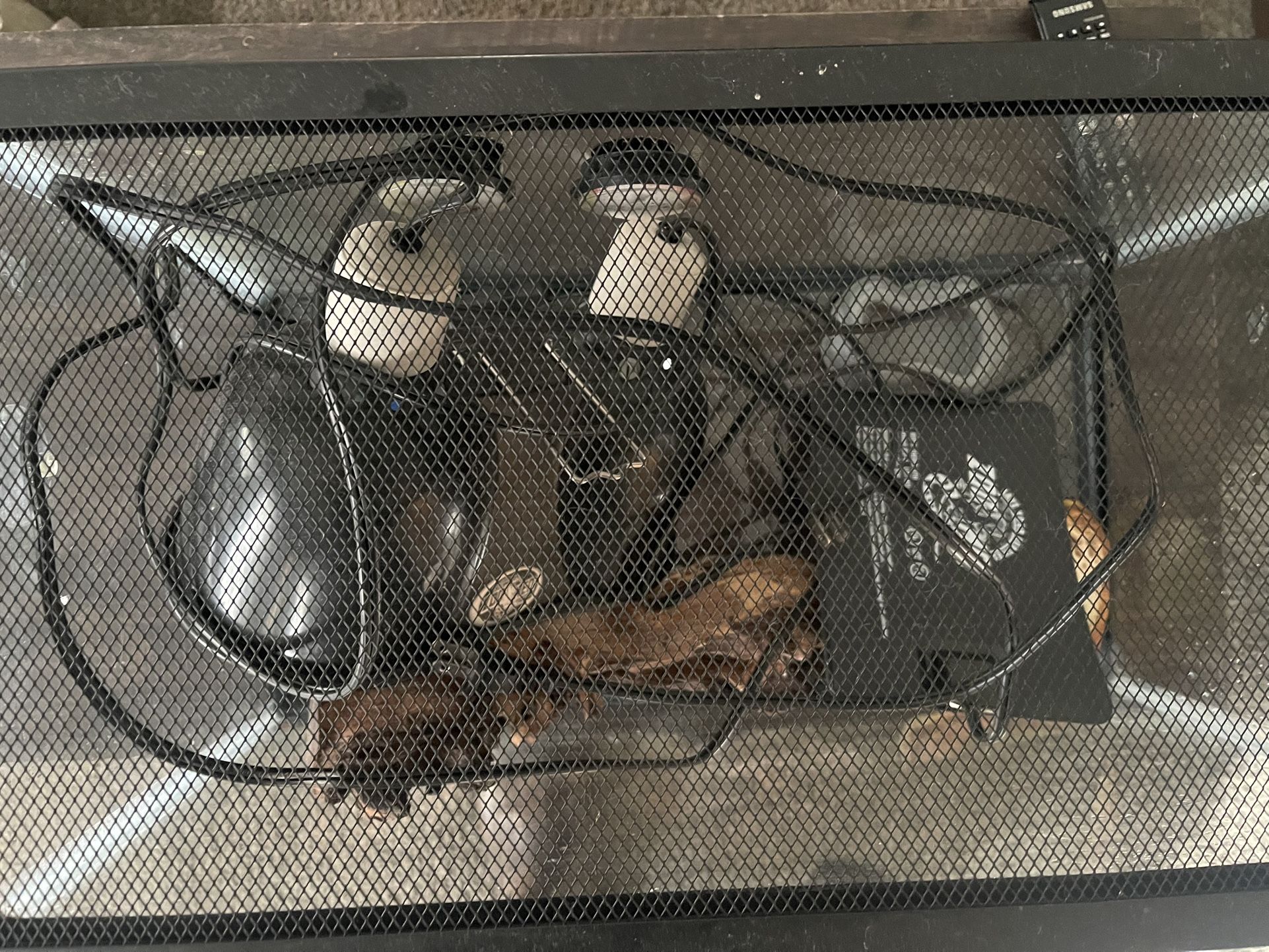 10g Tank