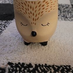 Desktop Hedgehog Pot With No Hole