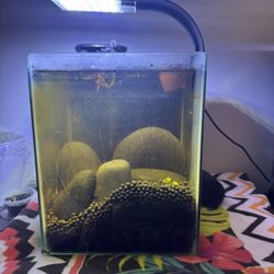 3 gallon - Aquarium With Filter And Accessories