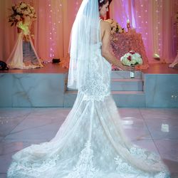 David’s Bridal Wedding Gown With Veil Size 8