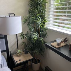 Bamboo Houseplant 
