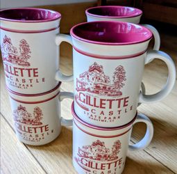 Castle state park Hadlyme  CT Coffee mug (set of 6)