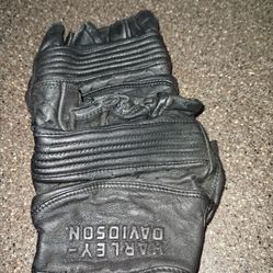 Harley davidson gloves