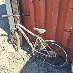 Complete Used Bikes As Is $30 Each 