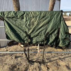 Horse  Blankets