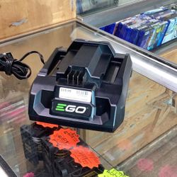 E Go Battery Charger 