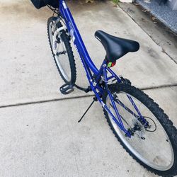 Girl’s Roadmaster Bike