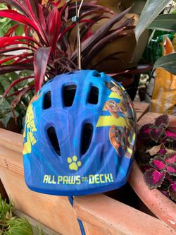 Paw Patrol Kids Helmet