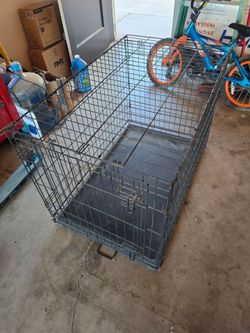 Dog crate medium