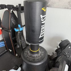 Everlast Punching Bag