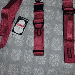 KONG Training Leash And Collars For Large Dogs!