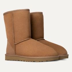 Uggs Short Boots
