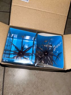 Popular sea urchin bait
