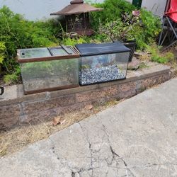 Fishtank & Terrarium