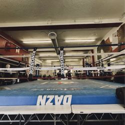 Boxing Coach Training 