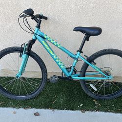 Nishiki Pueblo Youth Mountain Bike, Front Suspension Shimano 7 Speed 24”