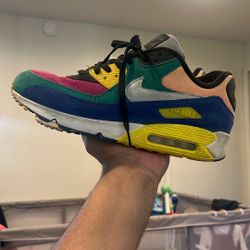 Nike AirMax 90- Viotech 2.0 Size 13