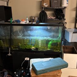 120 Gal. Tank W/ All Accessories 