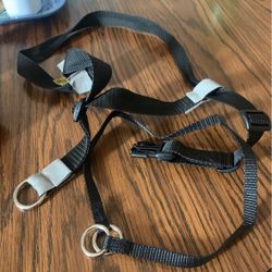 Walk Your Dog With Love Leash