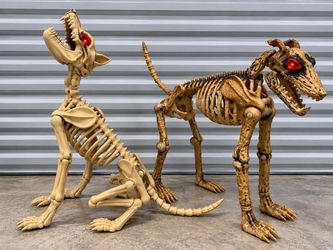 2 Animated Halloween Skeleton Dogs – Lights & Sound