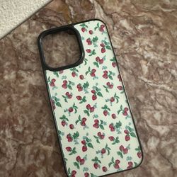 Case