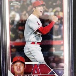 MLB/NBA Cards