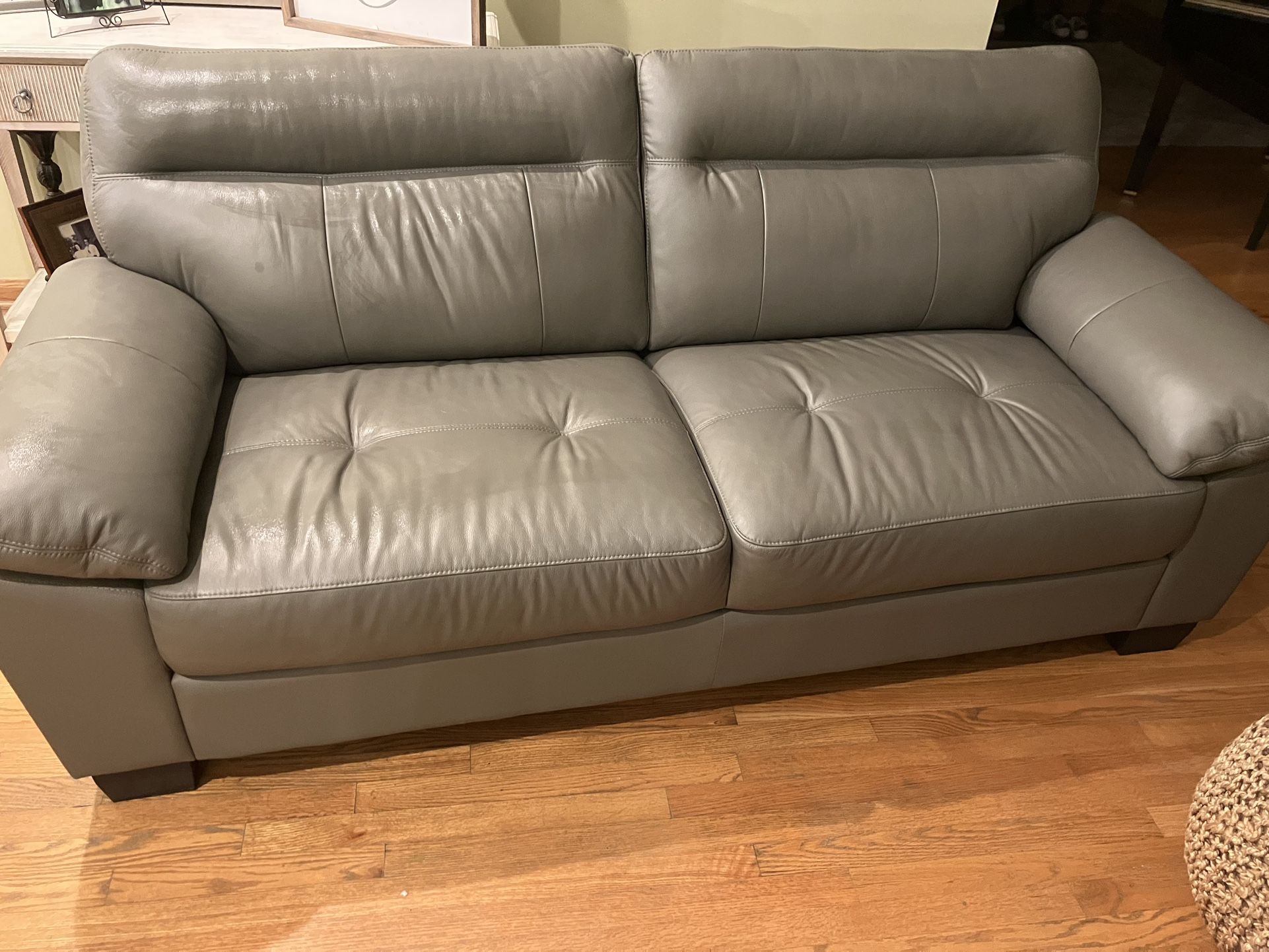 Modern Leather Couch 