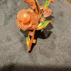 Variety Of Brooch And Jewelry 