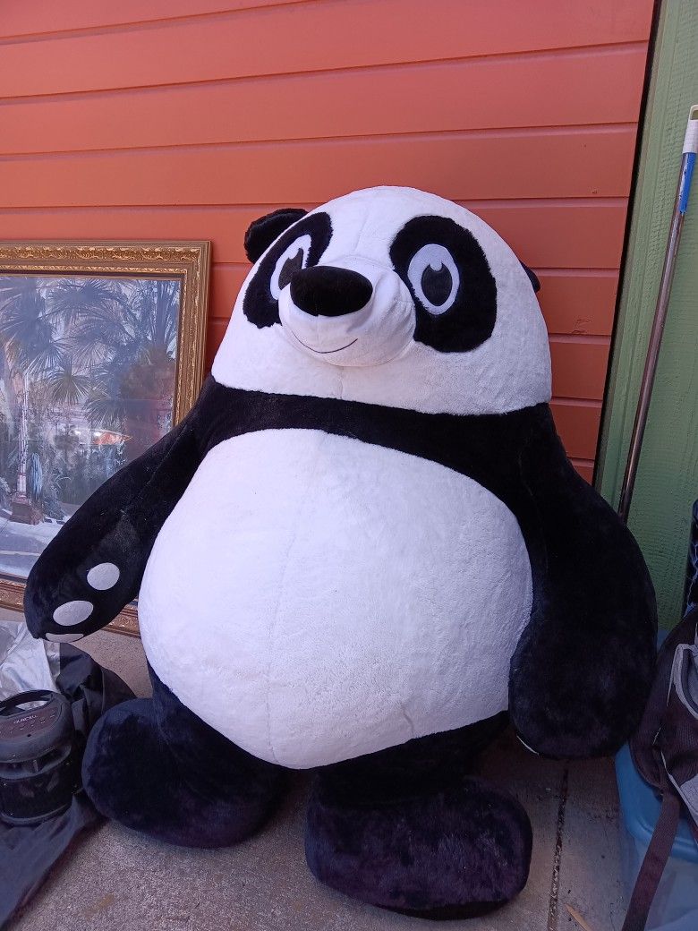 Giant Panda From 6 Flags