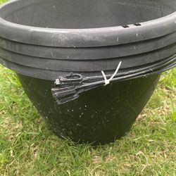 Hanging basket each 1