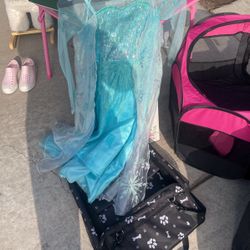 Elsa Costume