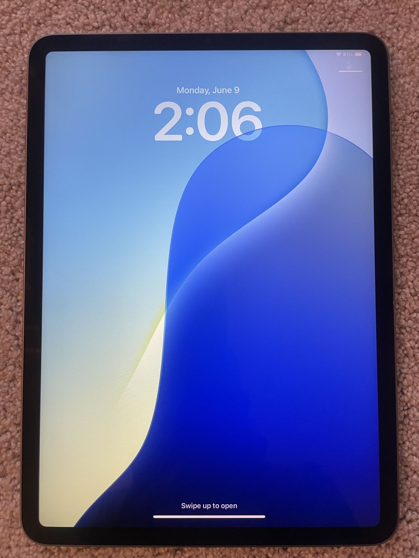 iPad Pro 11 3rd Gen 256 GB Wi-Fi