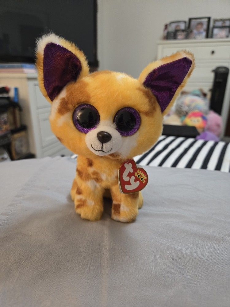 New. Ty. Beanie Boos. Pablo The Chihuahua. 