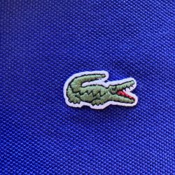 LACOSTE Polo Shirt Size 6 (XL in US Size) Royal Blue Color