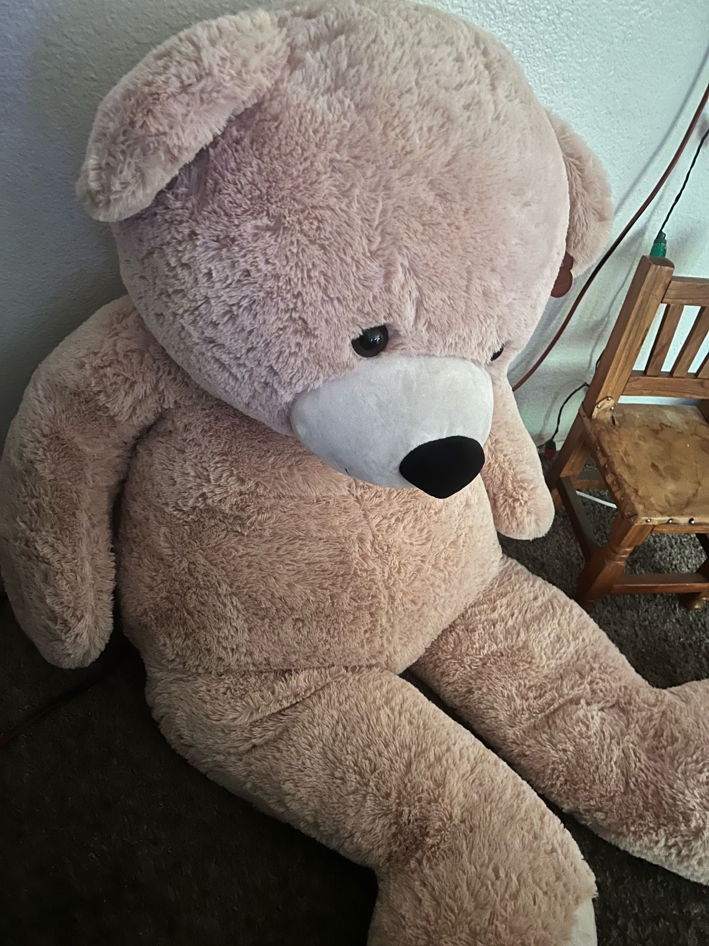 Giant Teddy/Plush Bear about 6ft tall