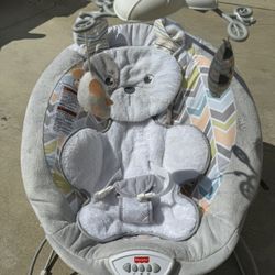 Baby Bouncer