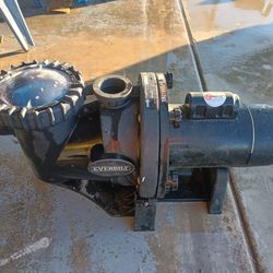 Pool pump