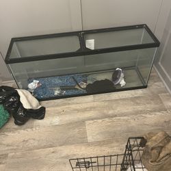 55 Gallon Fish Tank
