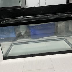 37.5 Gallon Fish Tank (On Hold)