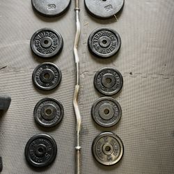 Weight Plates : Curl Bar.       70 Dollars 