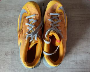 Lebron’s Shoes