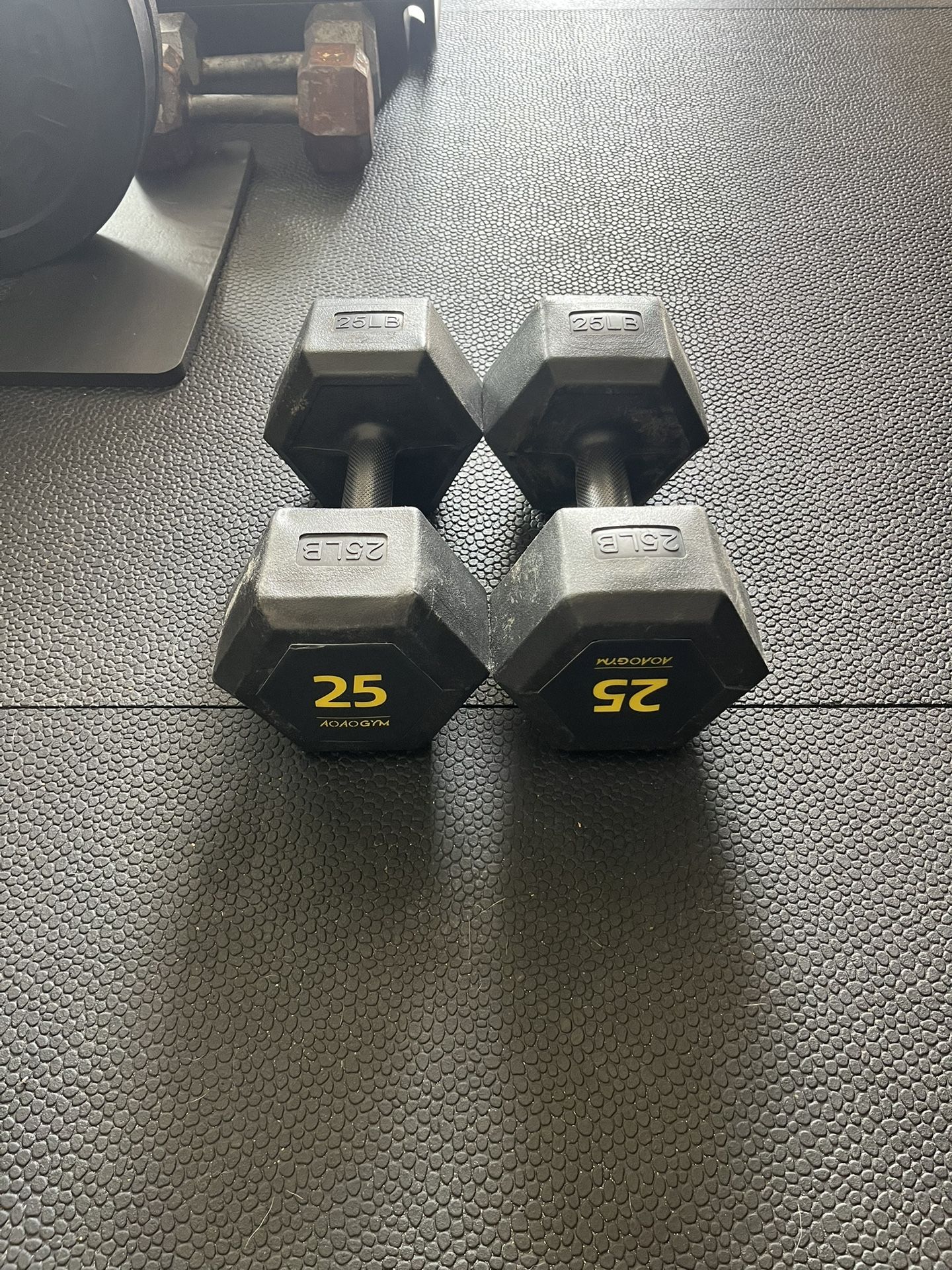 25 pound dumbbells