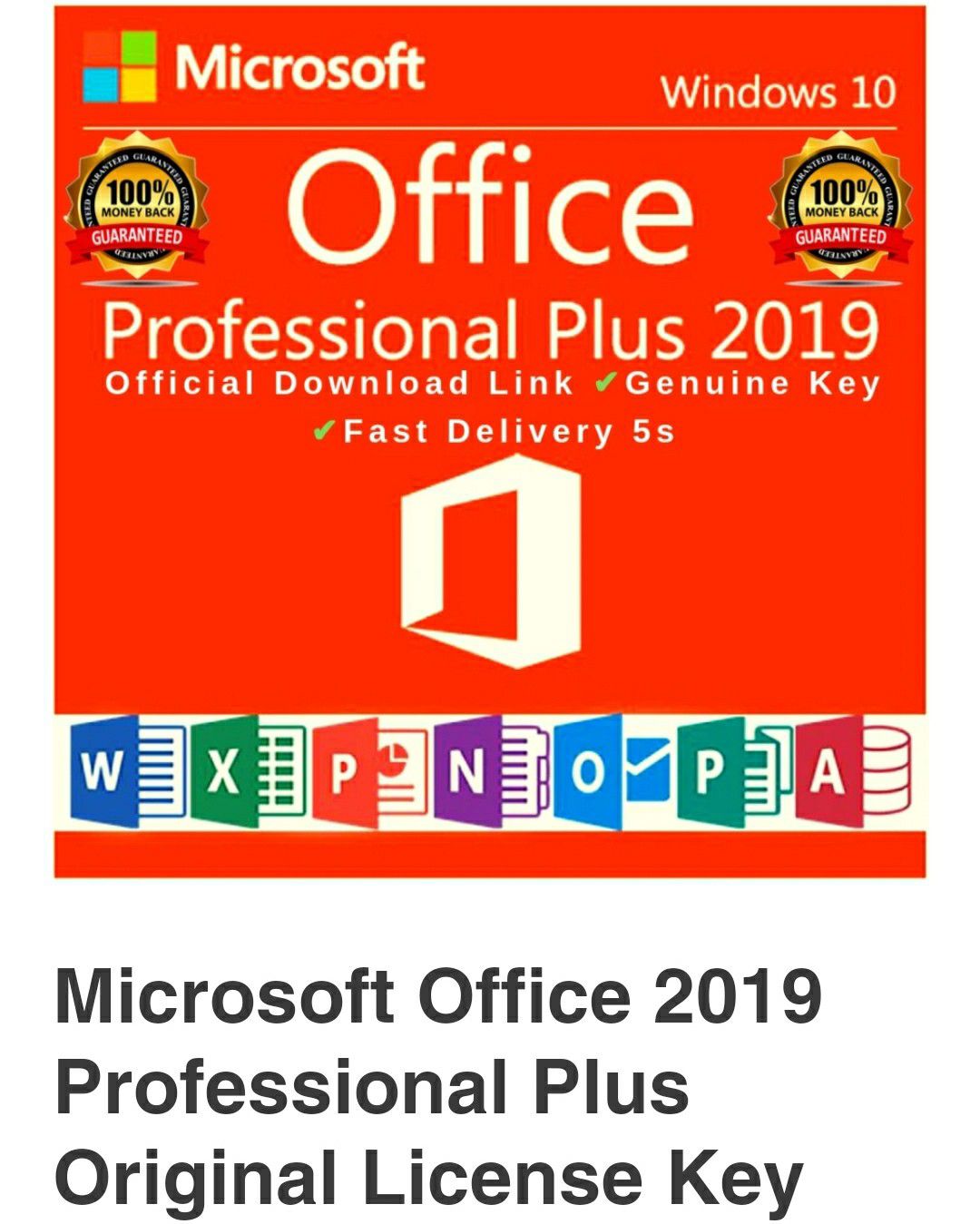 Microsoft Office 2019 Professional for laptop and desktop computers