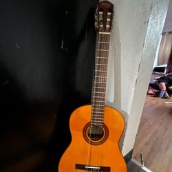 Guitar 