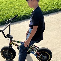 Fatboy Bmx Mini Wildcat 