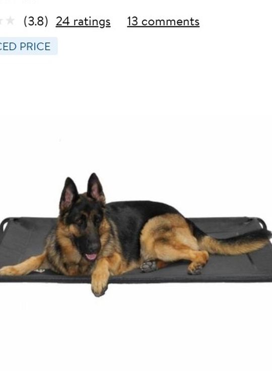 Elevated Dog Bed Xlarge