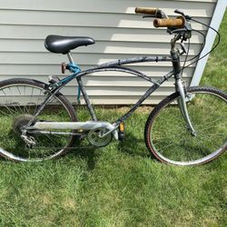 schwinn men's multi-speed cruiser bicycle - ON HOLD