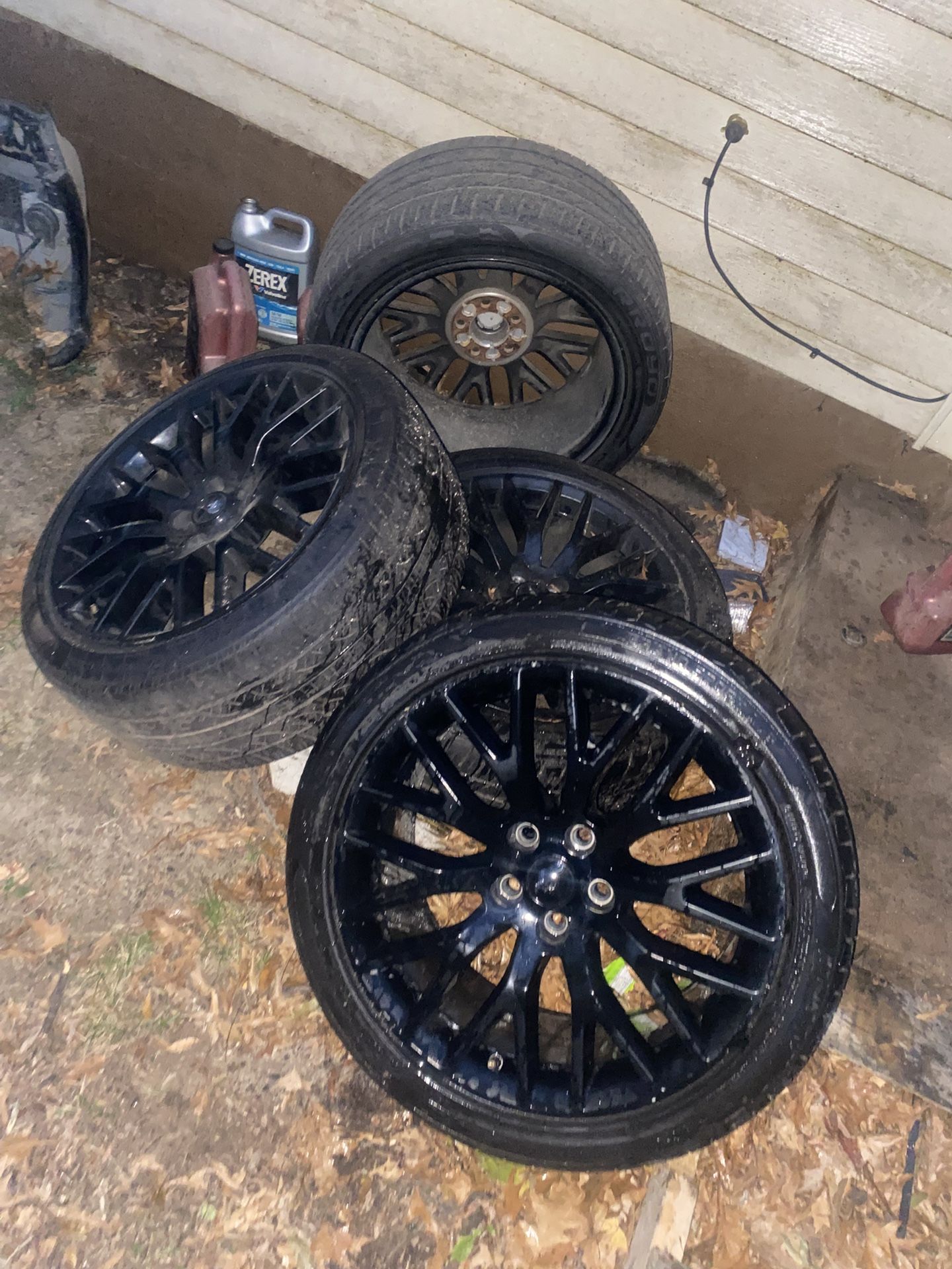 Mustang Rims