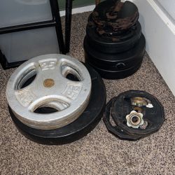 Workout Bench And Weights 