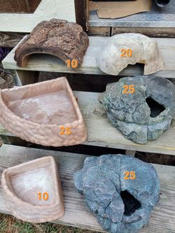 Reptile / Snake Hides And Bowls